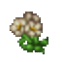 Small flower bouquet.png